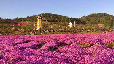 “特色小鎮(zhèn)”和“田園綜合體”之間有關(guān)系嗎？有融合發(fā)展的可能嗎？