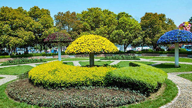 風(fēng)景園林設(shè)計中植物配置規(guī)劃3原則