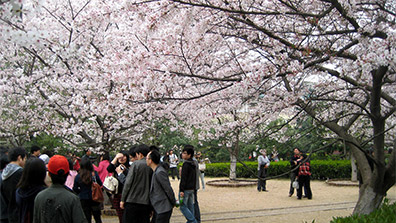 大學(xué)校園景觀規(guī)劃設(shè)計的價值