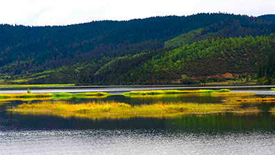 LID技術措施在森林公園濱水景觀中的運用