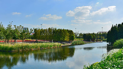 海綿城市建設(shè)中如何做好濕地景觀設(shè)計