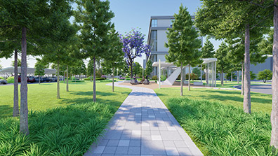 草坪在園林景觀設(shè)計(jì)中的重要性