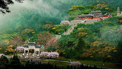 風(fēng)景園林規(guī)劃中的生態(tài)修復(fù)策略